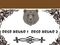 Restaurant Orso Bruno 1