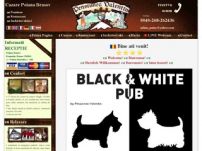 Bar/Pub Black & White